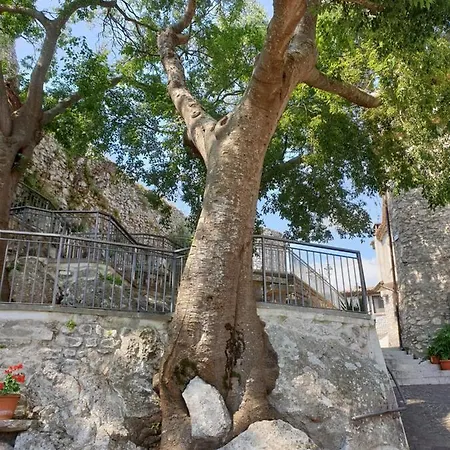 Casa Di Mamma Rosa * Castelnuovo Parano